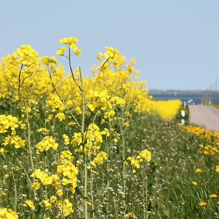 Attractive Bungalow In Damshagen Near The Sea 외부 사진